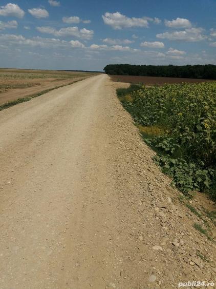 Teren de 756 mp, în Frumușani