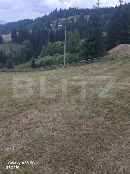 Teren de 30000 mp, în Șaru Dornei