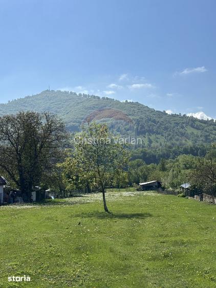 Teren Pangarati / DN Pangarati