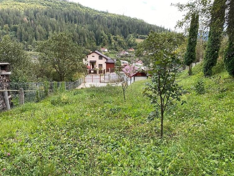 Vand teren intravilan Bicaz - 2