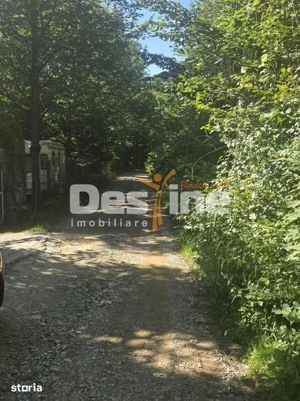 Teren Valea Doftanei, zona Pe Vale - Baraj Paltinu - 2