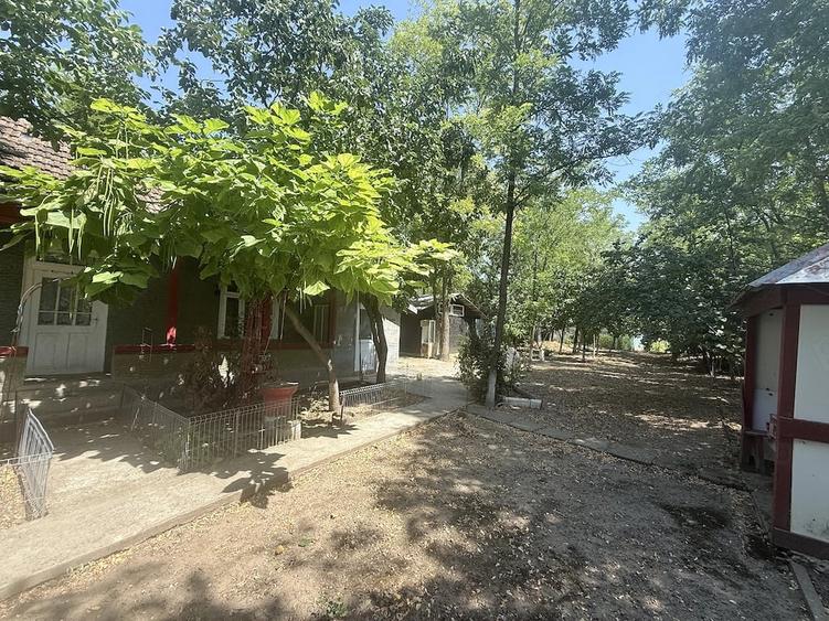 Casă cu Teren 18000 Mp în Central