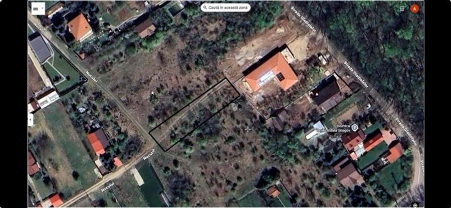 Teren Construcții intravilan de 981 mp, în Snagov