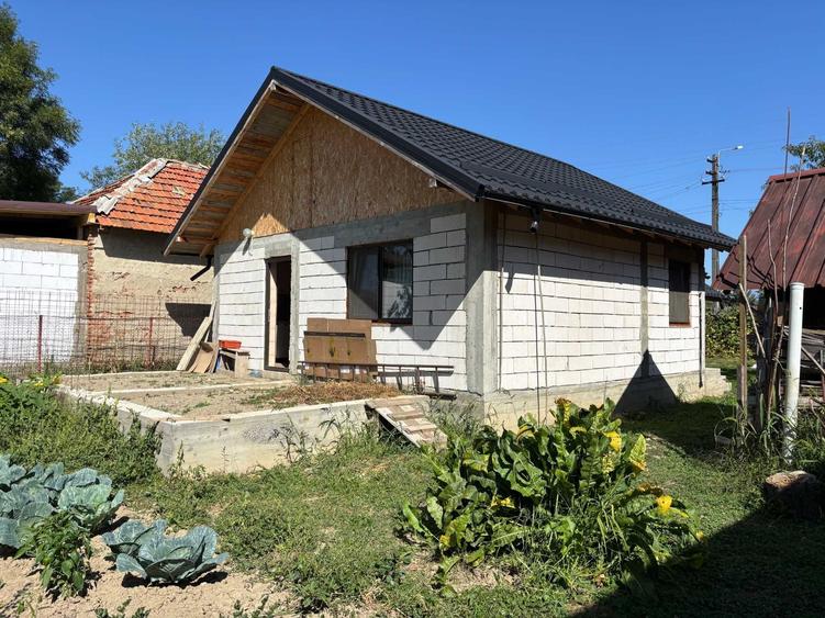Casă cu 2 camere în Valea Pechii