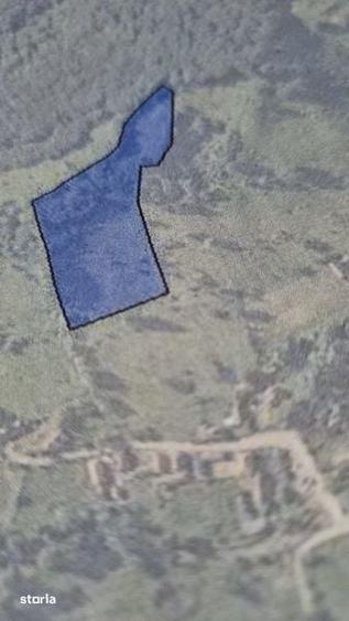 Teren de 15000 mp, în Densuș