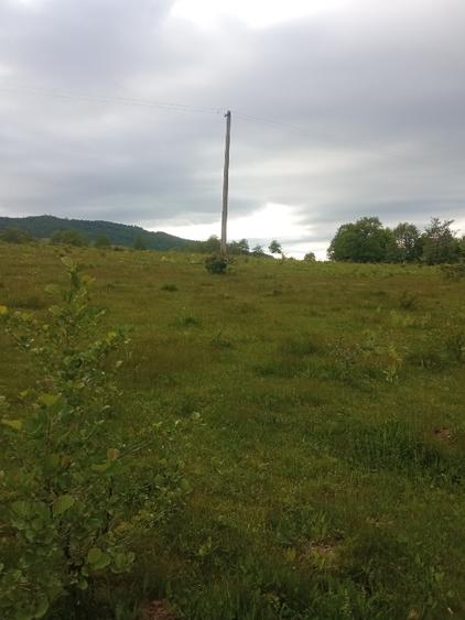 Teren Construcții extravilan de 5000 mp, în Vicovu de Jos