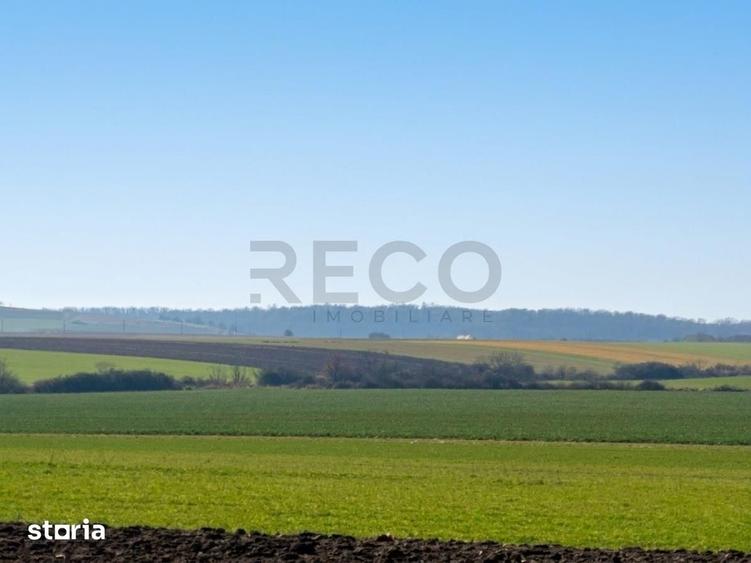 Teren de 42050 mp, în Tăut