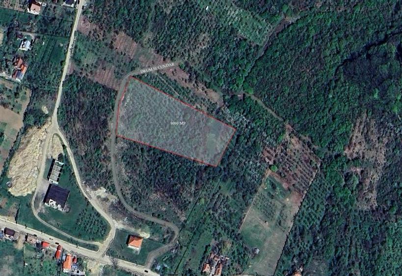 Teren intravilan de 9091 mp, în Săldăbagiu de Munte
