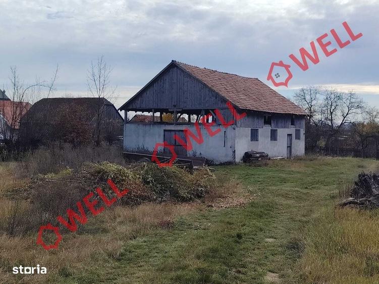 Spațiu comercial, în Valea Crișului