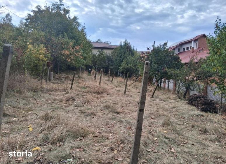 Teren de 1000 mp, în Bucium