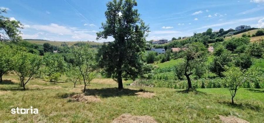 Teren de 1575 mp, în Feleacu
