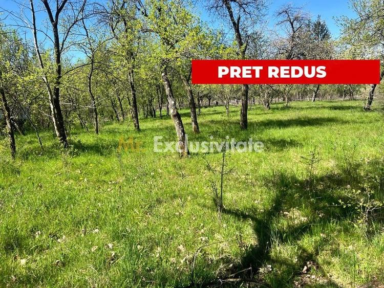 Teren de 3097 mp, în Corbi