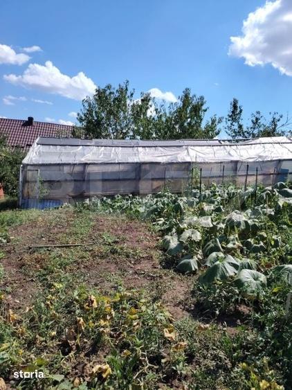 Casă cu 3 camere cu Teren 3900 Mp în Florești