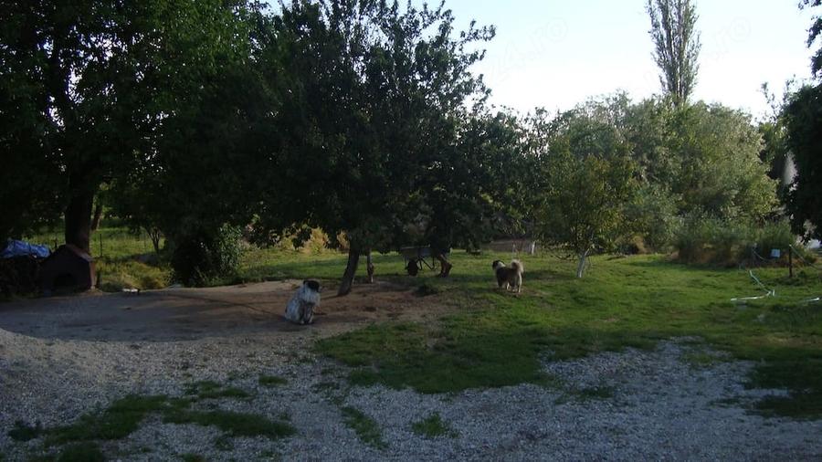 Casă cu 3 camere cu Teren 2287 Mp în Slobozia