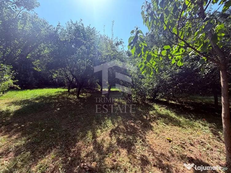 Casă cu 7 camere cu Teren 2034 Mp în Central