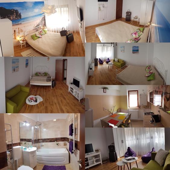 Apartament cu 2 camere decomandat în Nord