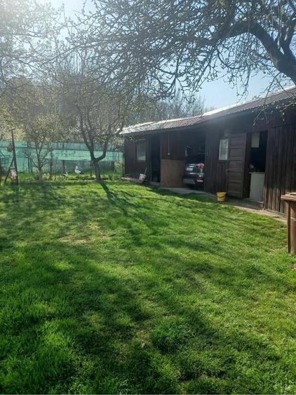 Casă cu Teren 1100 Mp în Livezeni