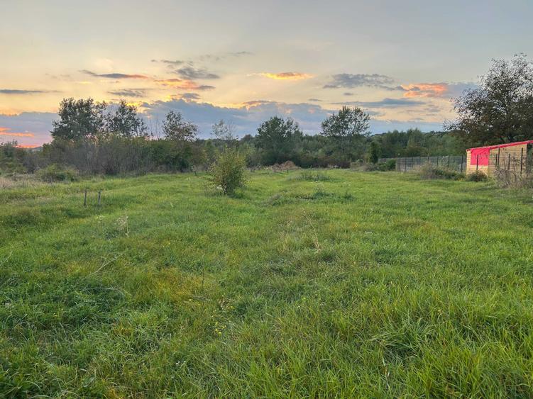 Teren de 2700 mp, în Brănești