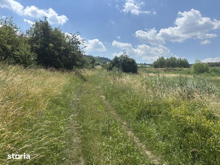 Teren de 2800 mp, în Feleacu