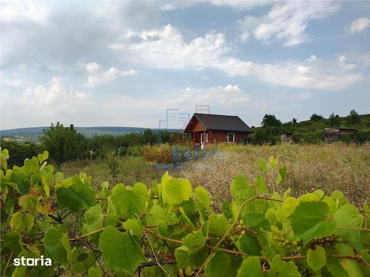 Intravilan - Tomesti - Teren si Cabana din Lemn - 1