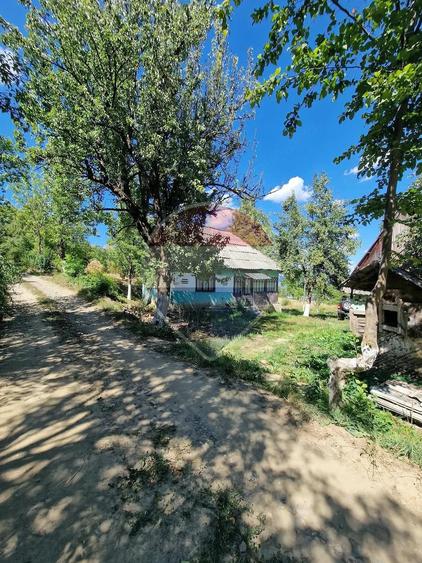 Casă cu 3 camere cu Teren 6000 Mp în Central