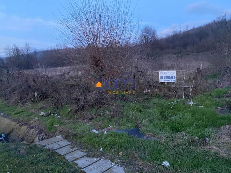 Teren Construcții intravilan de 4836 mp, în Mehadia