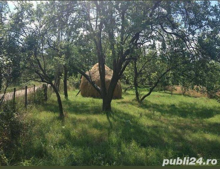 Teren de 5000 mp, în Racâș