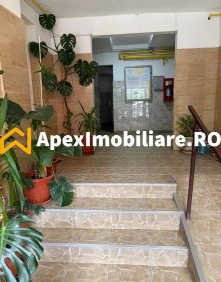 Apartament 2 camere de inchiriat Iancului Bucure?ti | ApexI - 5