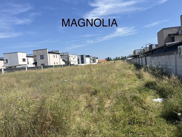 Spațiu comercial, în Cârcea