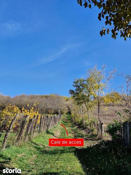 Teren de 1308 mp, în Rediu