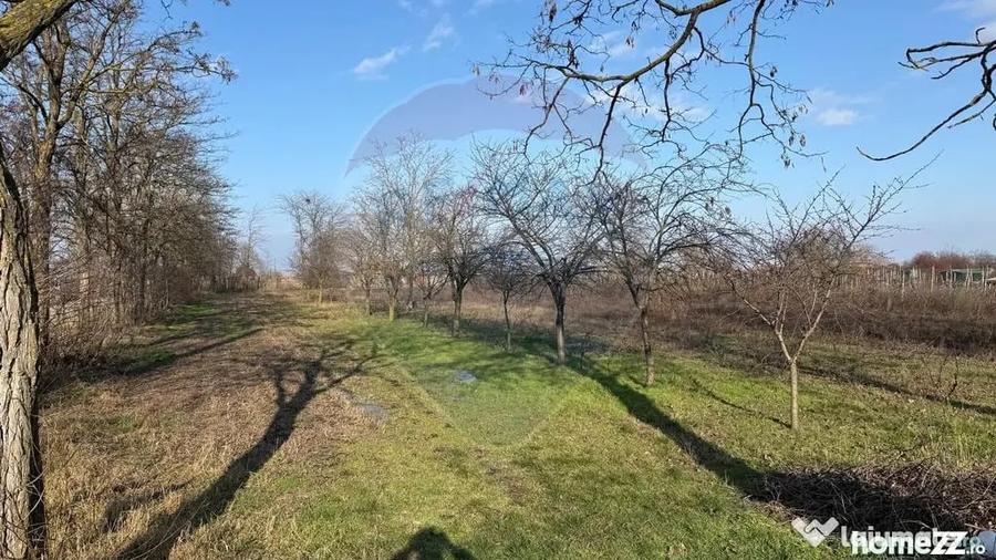 Teren în Petrești