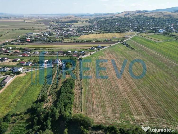 Teren de vanzare, Com. Sarata, Jud. Bacau - 1