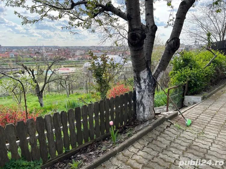 Teren de 429 mp, în Central