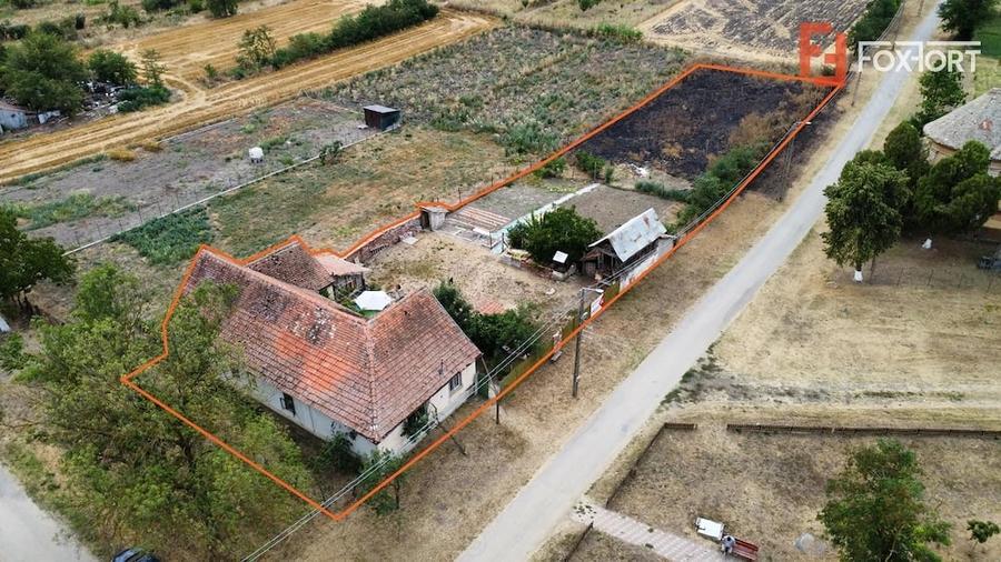 Casă cu 4 camere cu Teren 2208 Mp în Folea