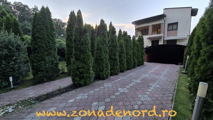 Casă individuală cu 6 camere cu Teren 1150 Mp în Dumbrăveni