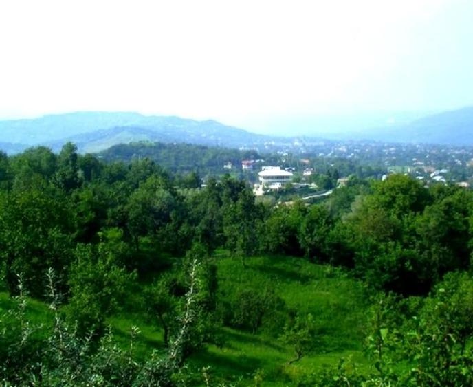 Teren Construcții intravilan de 5000 mp, în Breaza de Sus