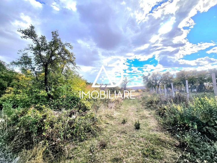 Teren intravilan de 2905 mp, în Bălănești