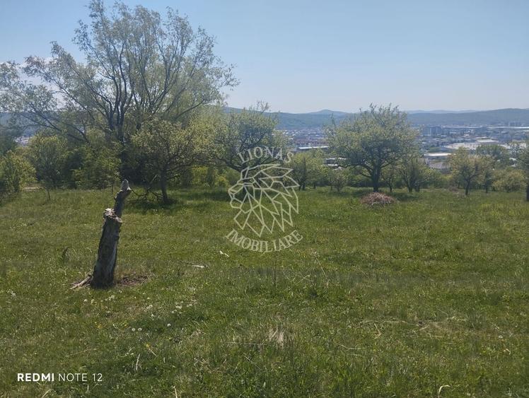 Teren agricol extravilan de 2100 mp, în Cetății