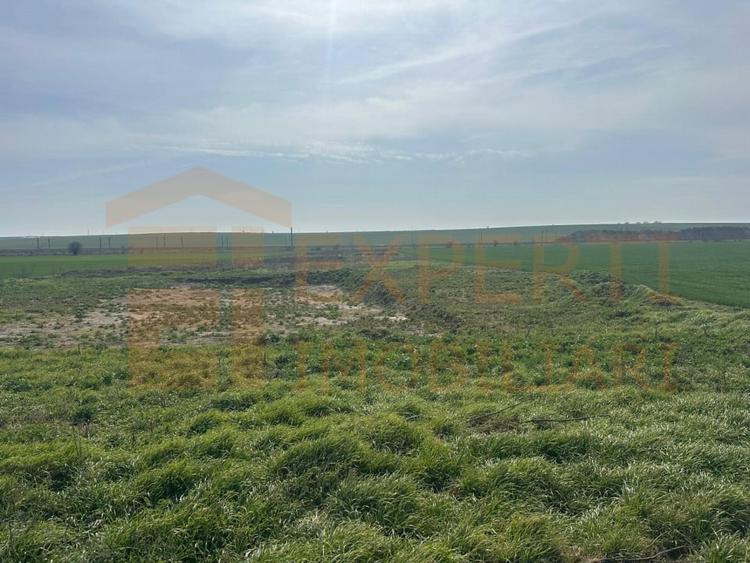 Teren Construcții intravilan de 10000 mp, în Valu lui Traian