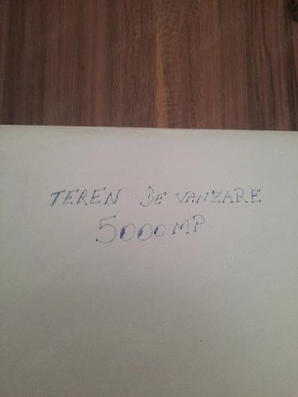 Teren de 5000 mp, în Poenari