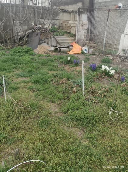 Casă individuală cu 6 camere cu Canalizare în Palazu Mare