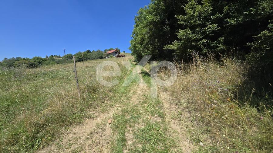 Teren agricol extravilan de 3757 mp, în Poiana Mărului