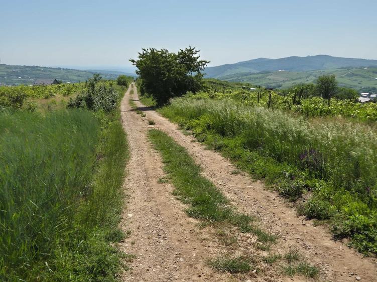 Teren de 3000 mp, în Tomești