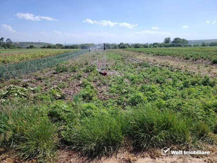 Teren agricol extravilan de 10000 mp, în Jucu de Mijloc