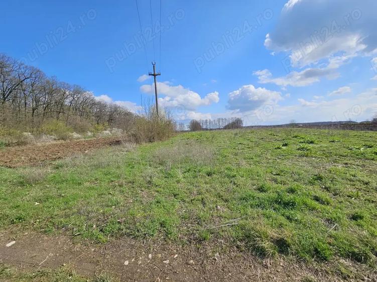 Teren de 2509 mp, în Snagov