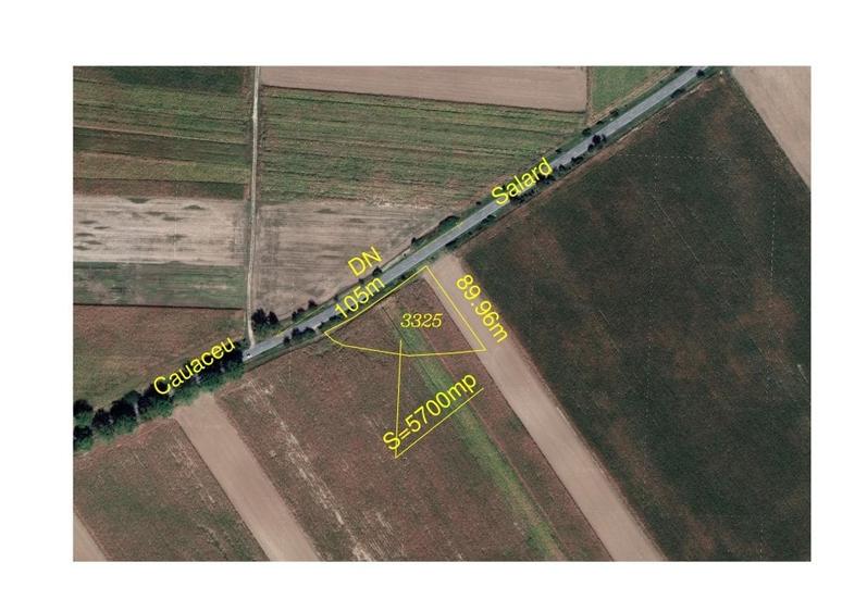 Teren agricol extravilan de 5700 mp, în Biharia