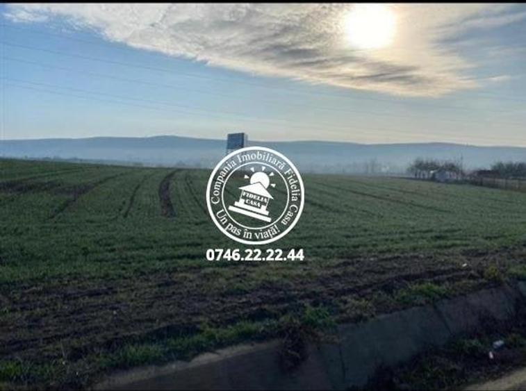 Teren de 19201 mp, în Grajduri