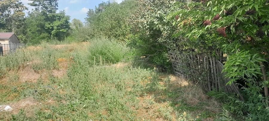 Casă cu Teren 1700 Mp în Roșiori