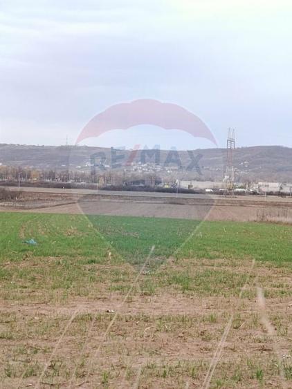Teren Construcții intravilan de 2374 mp, în Cheriu