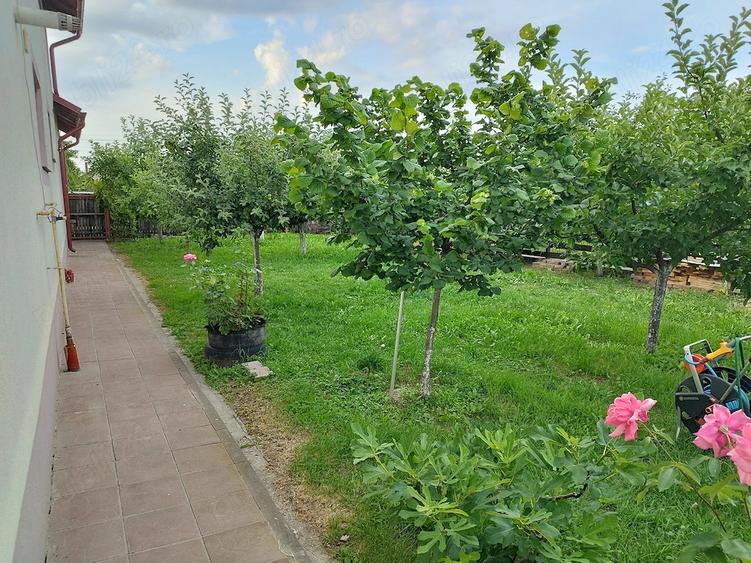 Casă cu Teren 4800 Mp în Căteasca